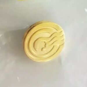 Princess Cruises Captain's Circle Gold tone lapel Pin Back NEW gold tone Ship